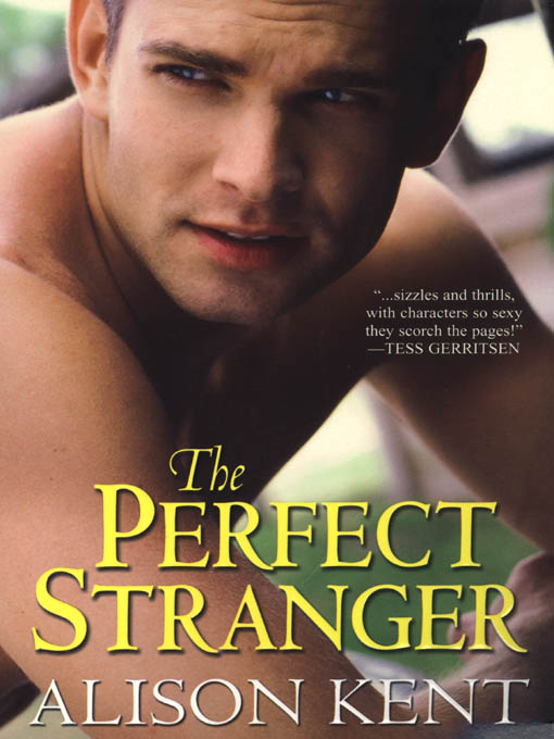 Title details for The Perfect Stranger by Alison Kent - Available